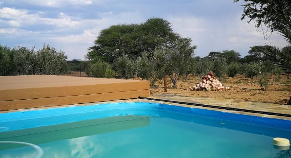 Woodpecker's Bed and Breakfast_Relax
